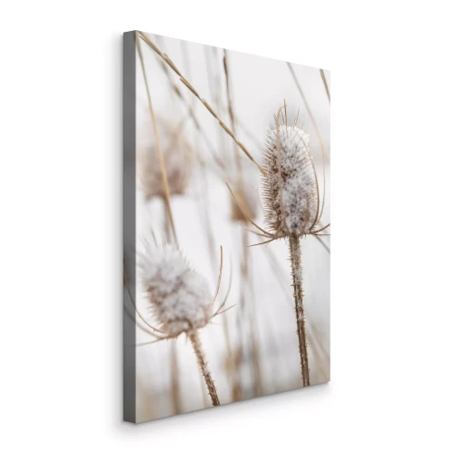 Tableau  Herbes dans un champ recouvert de neige