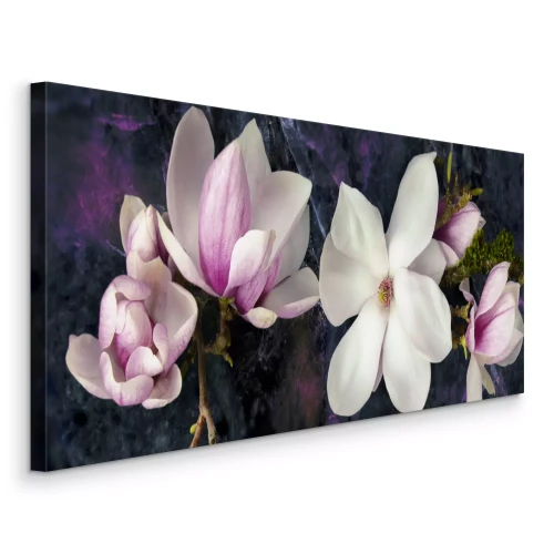 Tableau  Fleurs de magnolia dans des tons de rose et de blanc sur fond sombre