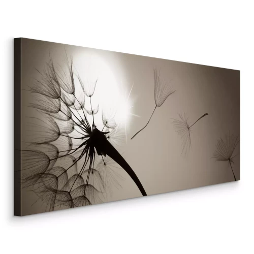 Tableau  Pissenlit et graines sur fond de soleil en noir et blanc