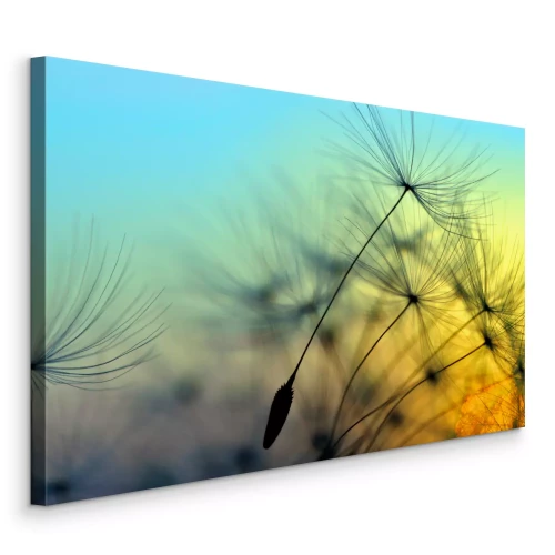 Tableau  Gros plan d'un pissenlit au coucher du soleil