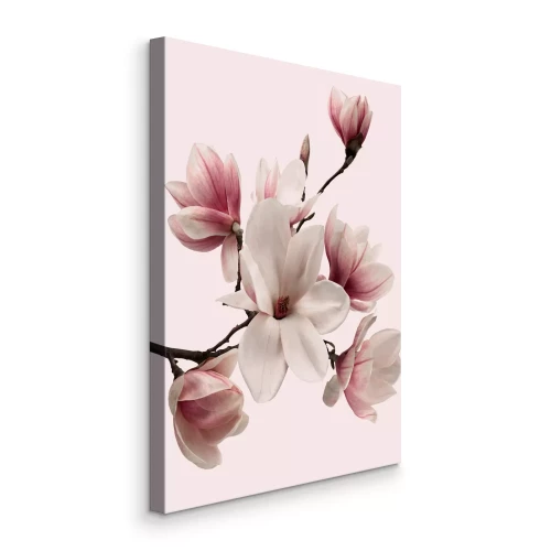 Tableau  Une branche de magnolia en fleurs, d'un rose délicat.