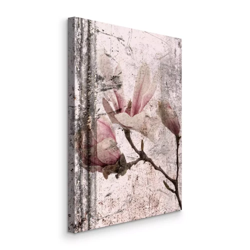 Tableau  Délicates fleurs de magnolia sur une surface vieillie
