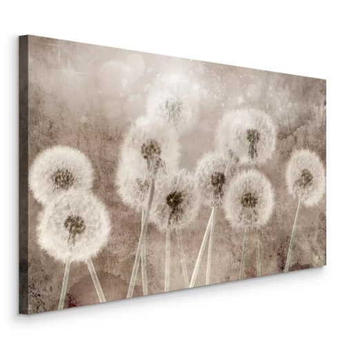 Tableau  Des pissenlits duveteux contre un mur beige