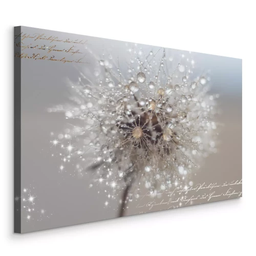 Tableau  Photographie macro d'un pissenlit avec de la rosée et du texte