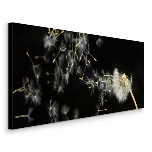Tableau  Le pissenlit répand ses graines dans l'obscurité
