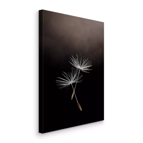 Tableau  Graines de pissenlit volantes sur fond sombre