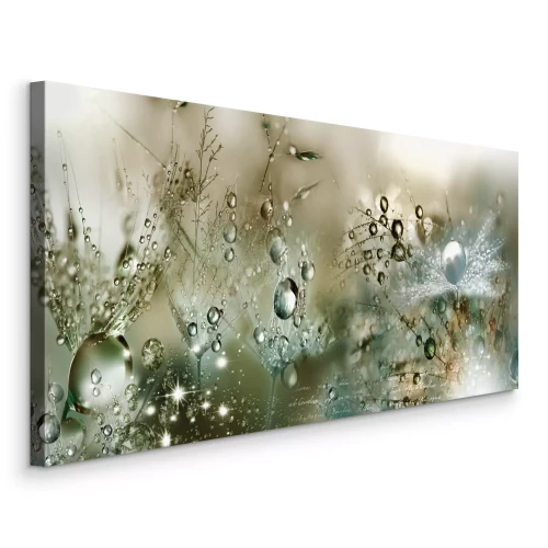 Tableau  Gros plan de gouttes de rosée sur des graines de pissenlit