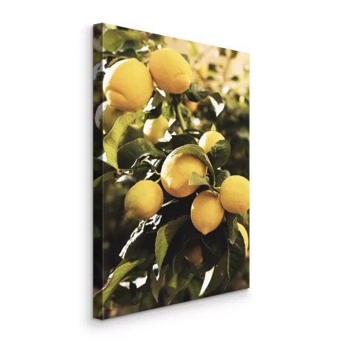 Tableau  Citrons mûrs sur une branche