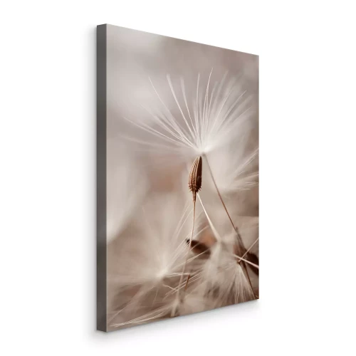 Tableau  Graines de pissenlit délicates sur fond beige