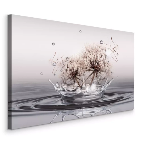 Tableau  Pissenlits avec des gouttes d'eau sur une surface miroir