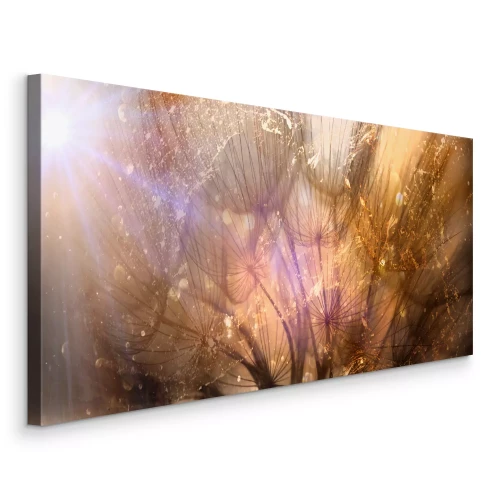 Tableau  Des pissenlits dorés dans les rayons de lumière