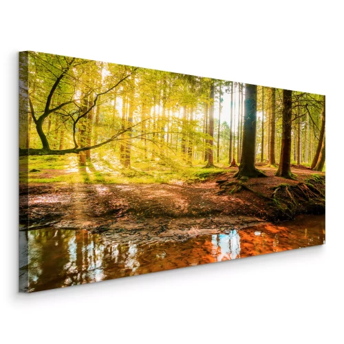 Tableau  Une rivière dans une forêt ensoleillée d'automne