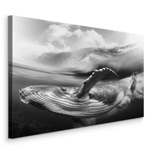 Tableau  Photo en noir et blanc d'une baleine dans l'eau