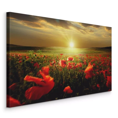 Tableau  Des champs de coquelicots sous une lumière dorée