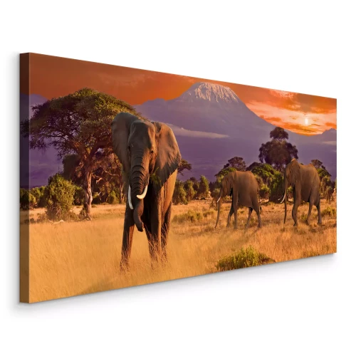 Tableau  Trois éléphants sur fond de paysages africains