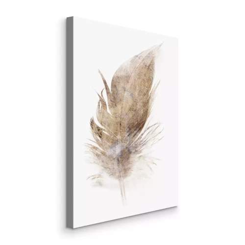 Tableau  Une petite plume brune