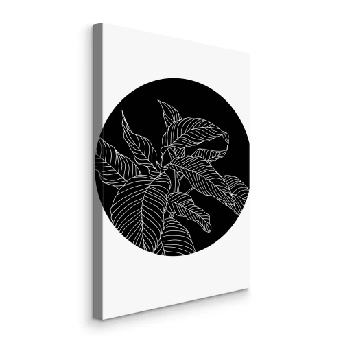 Tableau  Feuilles blanches sur fond noir dans un cercle