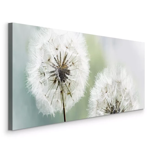 Tableau  Pissenlits dans une douce lumière floue