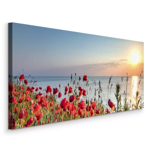 Tableau  Coquelicots sur une falaise surplombant la mer