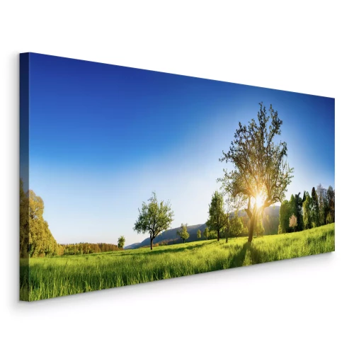 Tableau  Arbres dans une prairie printanière sous la lumière du matin