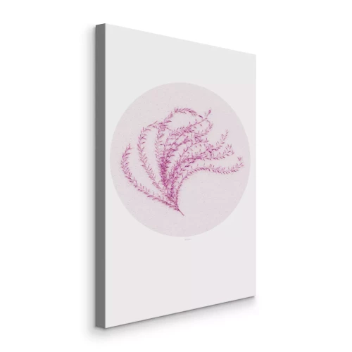 Tableau  Une plante rose dans un cercle beige