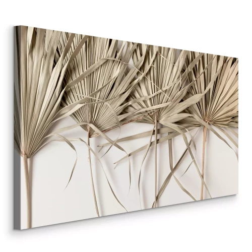 Tableau  Feuilles de palmier sèches beiges sur fond blanc