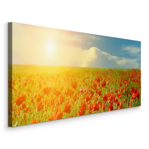 Tableau  Coquelicots rouges sous la lumière du soleil d'été