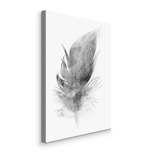 Tableau  Petite plume grise