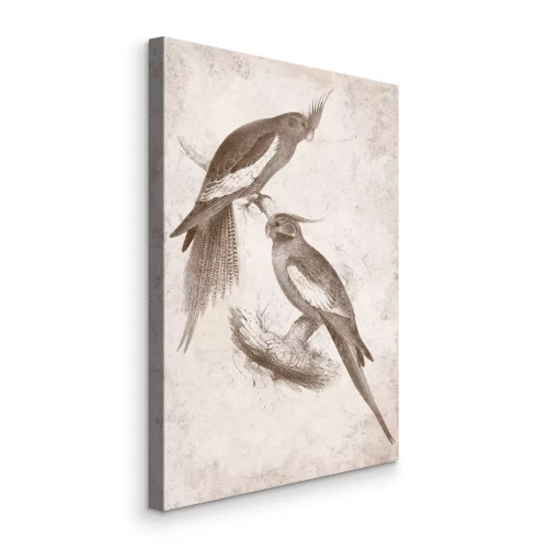 Tableau  Croquis de perroquets sur papier beige