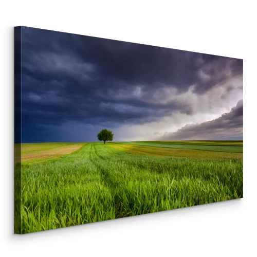 Tableau  Un arbre dans un champ sous un ciel sombre et orageux