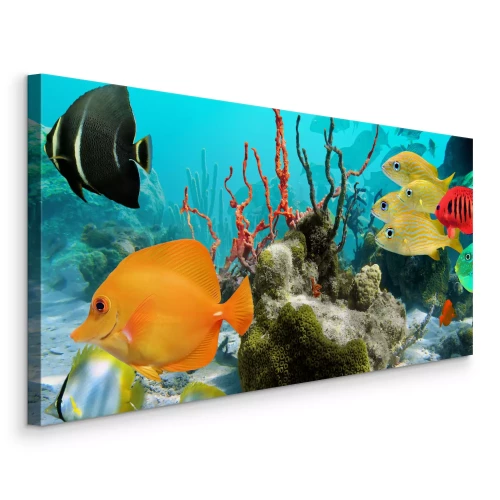 Tableau  Poissons colorés et plantes sous-marines