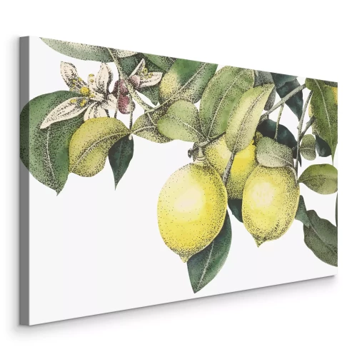 Tableau  Motif de citronnier avec feuilles vertes et fruits