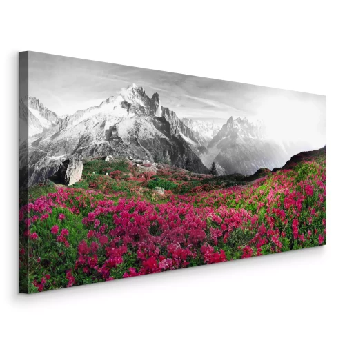 Tableau  Le contraste entre les azalées roses et les montagnes noires et blanches