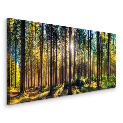 Tableau  Rayons de soleil dans la forêt de pins