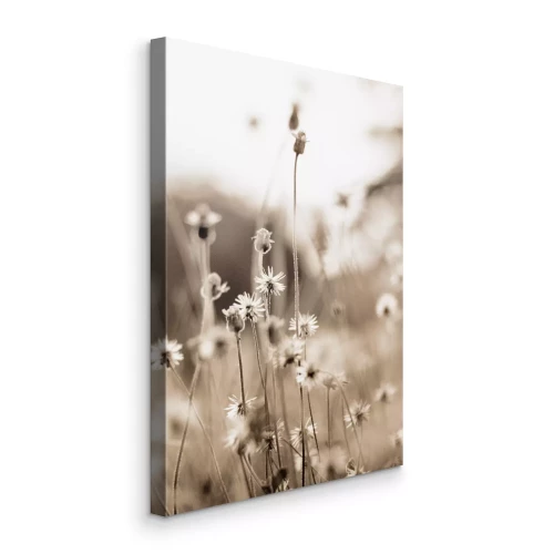 Tableau  De minuscules fleurs sauvages sur un fond flou