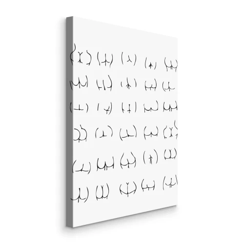 Tableau  Formes féminines en noir et blanc