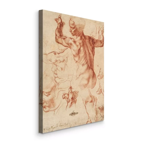 Tableau  Dessin du corps et du profil d'un homme réalisé à la craie rouge