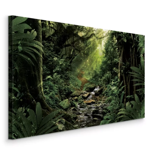 Tableau  Un cours d'eau dans une forêt tropicale