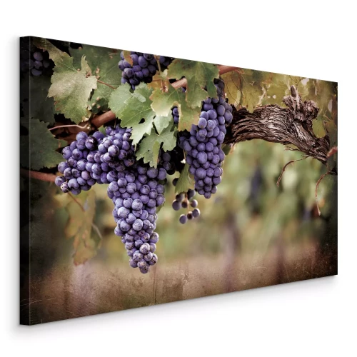 Tableau  Grappes de vigne à l'ombre des feuilles vertes