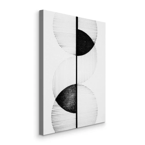 Tableau  Symétrie des croissants noirs et blancs