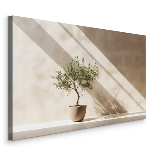 Tableau  Un élégant olivier en pot