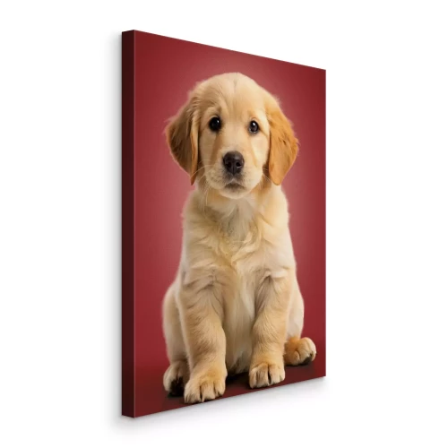 Tableau  Adorable chiot golden retriever