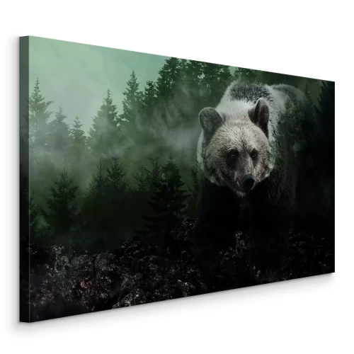 Tableau  Un ours adulte dans une forêt dense de conifères