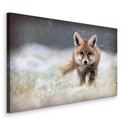 Tableau  Un renard dans la prairie du matin