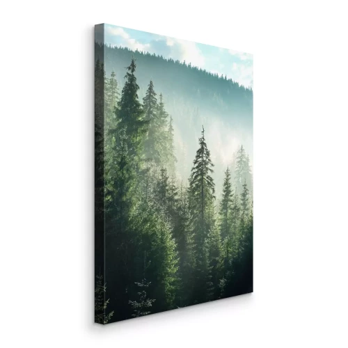 Tableau  Forêt de montagne verdoyante avec des conifères et du brouillard