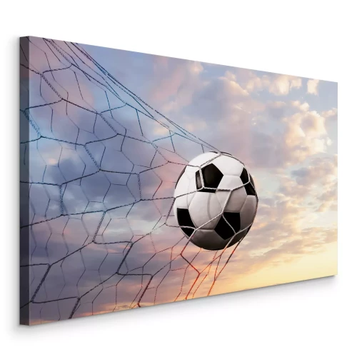 Tableau  Le ballon dans le filet contre le ciel