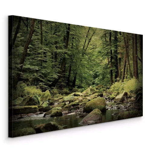 Tableau  Un ruisseau qui coule à travers une forêt verdoyante