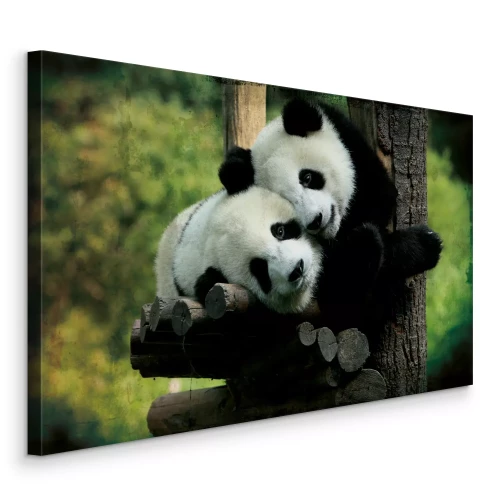 Tableau  Des pandas sur fond de végétation verte