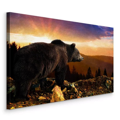 Tableau  Un ours brun robuste se détachant sur un ciel doré