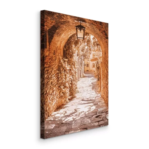 Tableau  Une allée de pierres bordée de plantes grimpantes luxuriantes